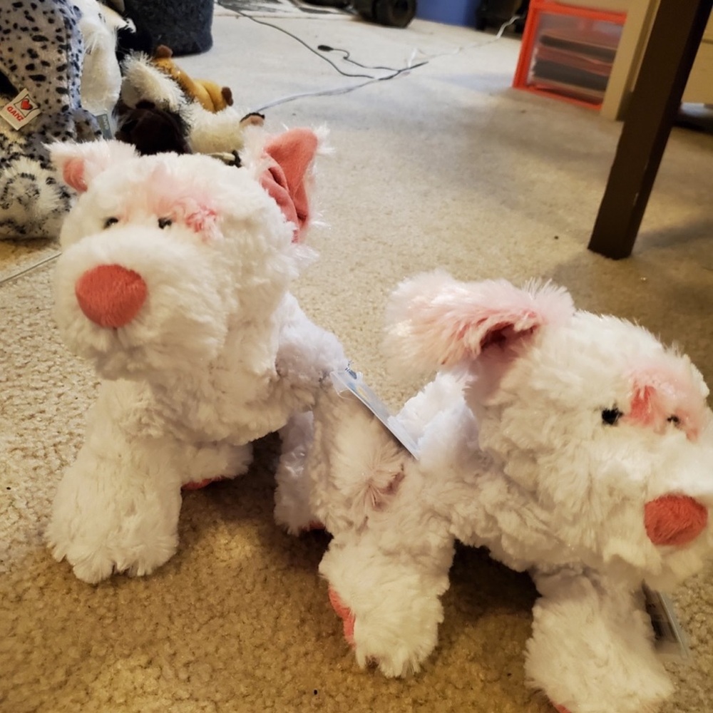One brand new Webkinz puppy with tags
